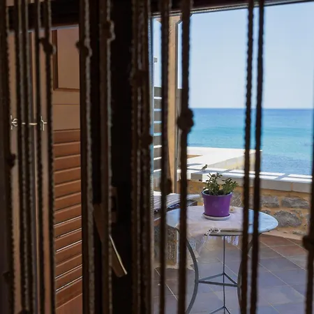 Sun Νεόν Οίτιλον