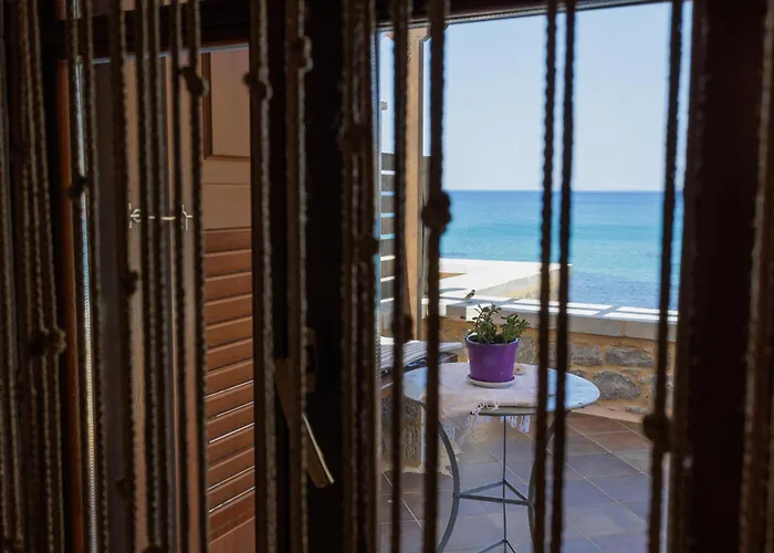 Sun Неон-Оитилон